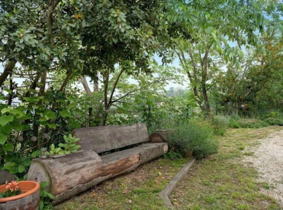 La Casa Rosa Apartment Piobesi d'Alba Luaran gambar